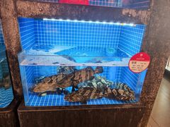 -连鹭海鲜·海肠捞饭·海胆饭(星海店)