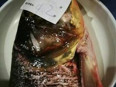 -张大胡子鱼头火锅酒楼(长益路店)