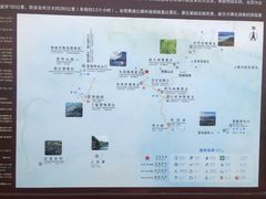 -紫鹊界梯田景区