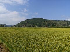 -南泥湾风景区