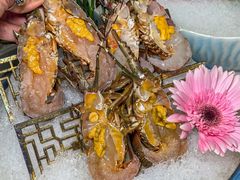 -喜聚薈·花膠雞海鮮火鍋(越秀店)