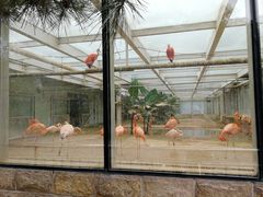 -石家庄市动物园