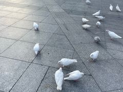 -万达广场(广州番禺店)