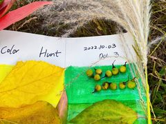 -蜀冈西峰生态公园