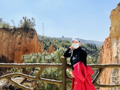 -彩色沙林风景区