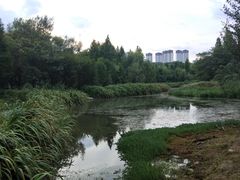 -贵阳市花溪国家城市湿地公园