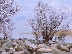-上海吴淞炮台湾国家湿地公园