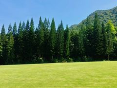 -深圳仙湖植物园