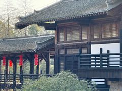 -大唐贡茶院