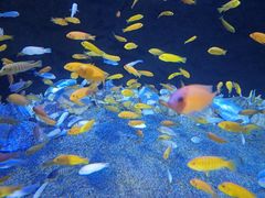 -成都浩海立方海洋公园