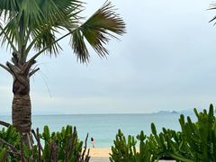 -大梅沙海滨公园