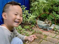 -五营红松林海景区