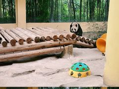 -杭州野生动物世界