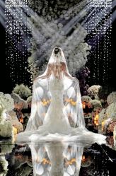 -Sugar苏格婚礼策划工作室