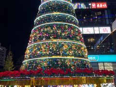 -浦江城市生活广场(江月路店)