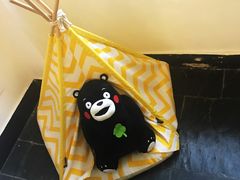 -阿狗圆子