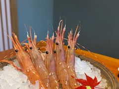 -月龍吟(朝龙汇店)