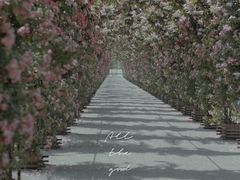 -广富林郊野公园