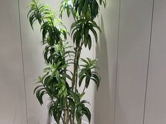 -东方威尼斯温泉酒店