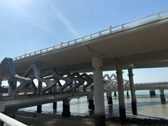 -演武大桥观景平台