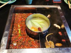 菌汤锅底-蜀江龙火锅(339店)