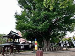 -医王山·飞騨国分寺