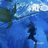 火山鲸鲨馆
