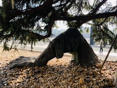 -侵华日军南京大屠杀遇难同胞纪念馆-停车场