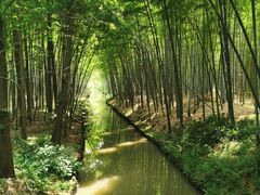 -同里国家湿地公园