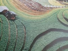 -湘邻呷铺·田园家宴(汉基广场店)