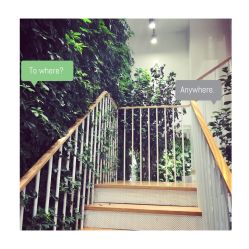 -悦诗风吟innisfree