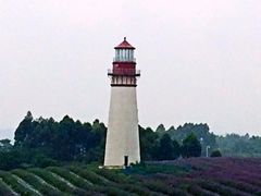 iphone_upload_pic-紫颐香薰山谷景区