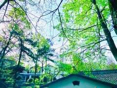 -岳麓山风景名胜区