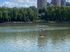 -中国农业博物馆