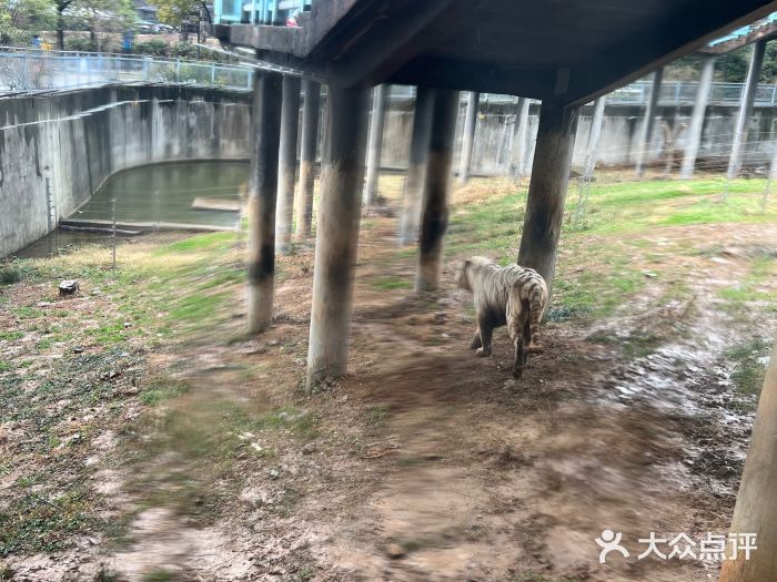 无锡动物园·太湖欢乐园图片