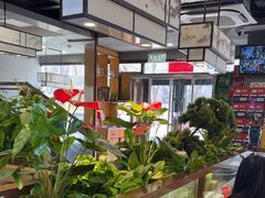 -洞庭家宴·头牌甲鱼(广渠门店)