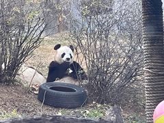 -大连森林动物园