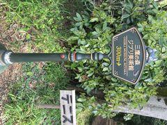 iphone_upload_pic-三鹰之森吉卜力美术馆