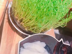 -好彩猪肚鸡(正弘城店)