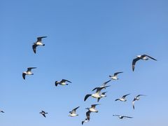 -悦海公园