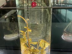 -广东中医药博物馆