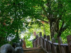 -光雾山旅游景区