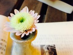 -看书吧(体育东横路店)