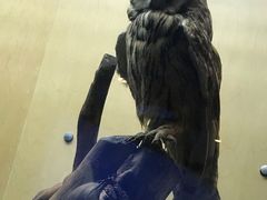 -陕西自然博物馆