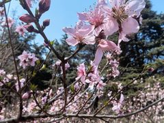 -白塘生态植物园