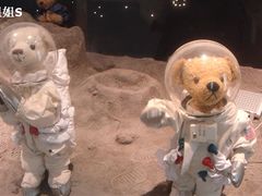 -济州岛泰迪熊博物馆