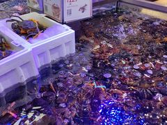 -盒马鲜生(大成店)