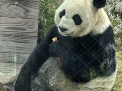 -无锡动物园·太湖欢乐园