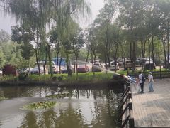 -溱湖国家湿地公园