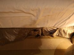 -上海浦东星河湾酒店